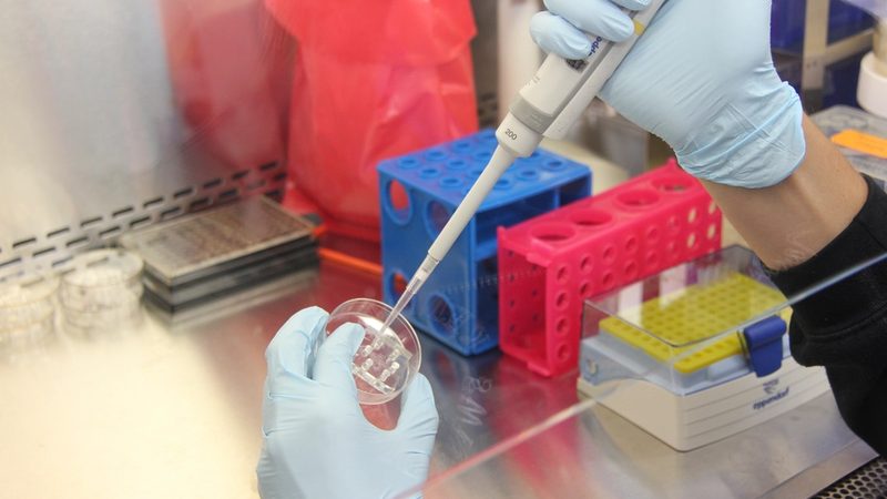 La thérapie ciblée : biomarqueurs et tests génétiques