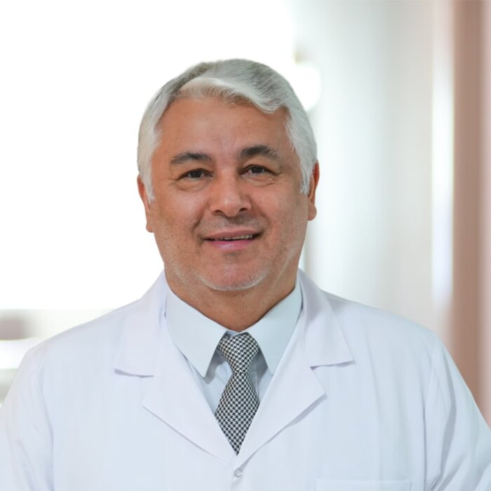 Prof. Dr. Ali Osman Kaya